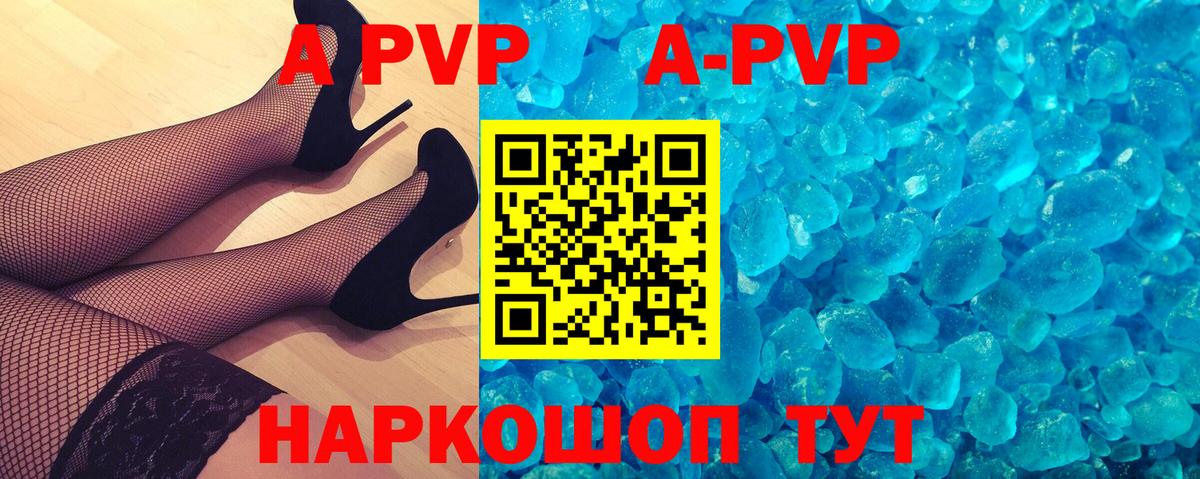 Alfa_PVP СК Калининград
